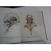  ATLAS  OF  HUMAN  ANATOMY  vol. III ( 3 ) -  R. D.  SINELNIKOV  